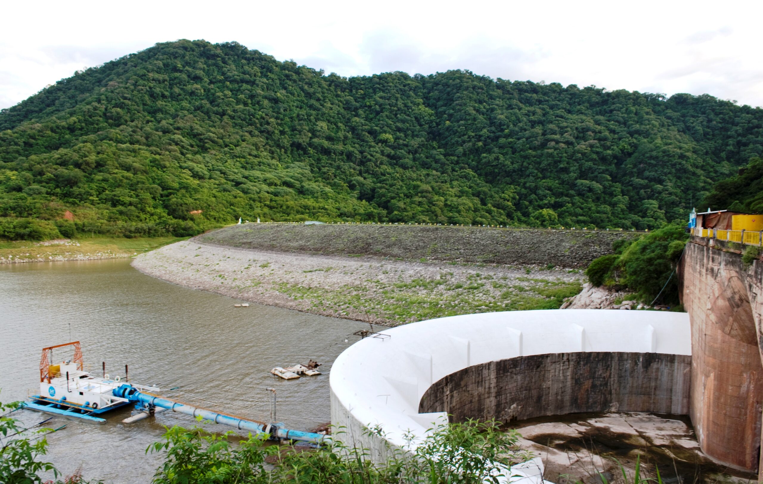 dr.celestino_gelsi_16